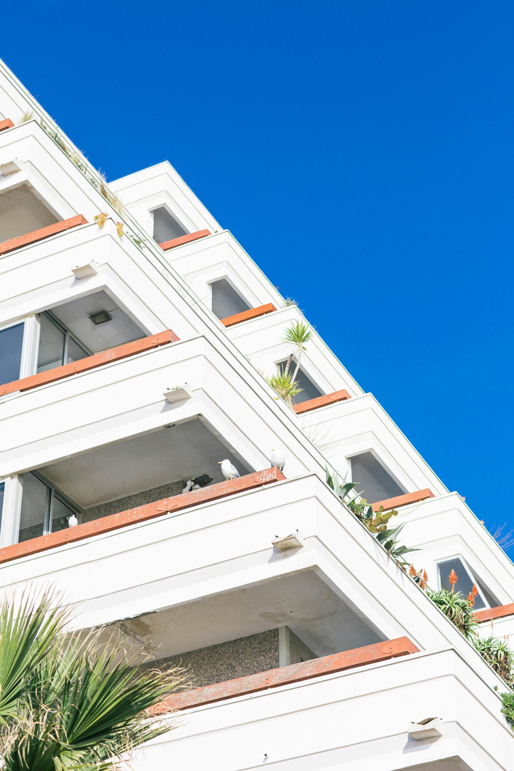 Yeniden Yapılandırma ve Ödeme Aczi (İflas/Tasfiye) Hukuku