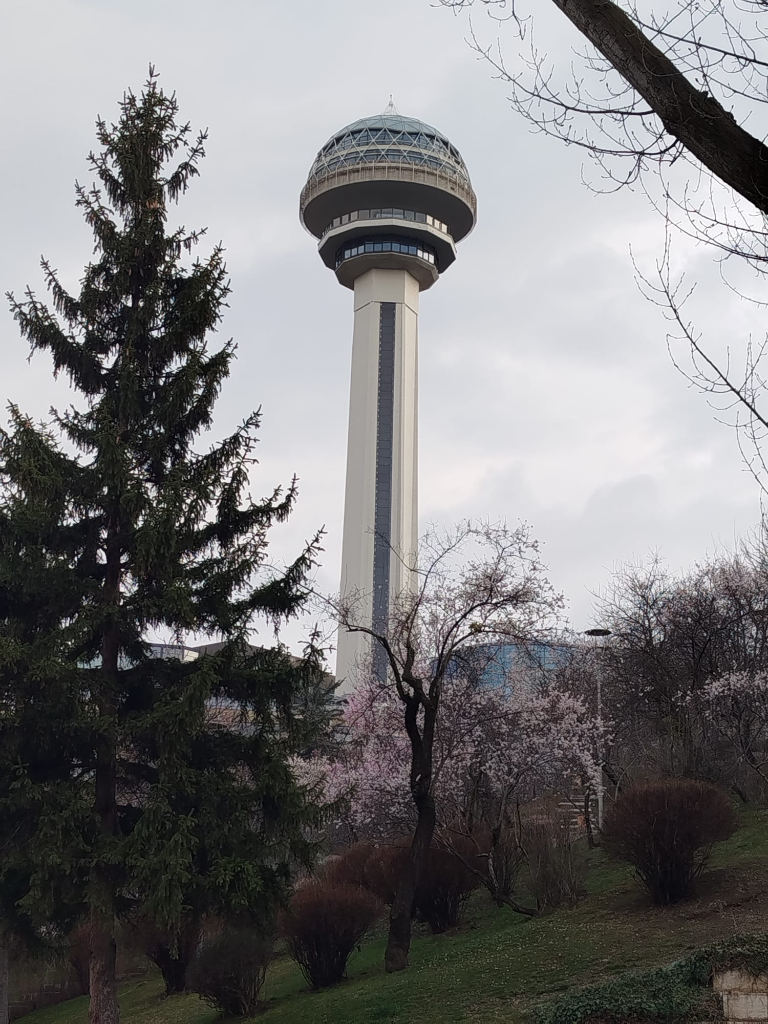 Şirketler Hukuku ve Kurumsal Danışmanlık